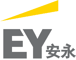 PT Ernst & Young Indo