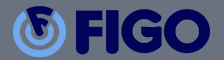 PT Figo Teknik