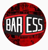 PT Barless Darya Aguna Barikan