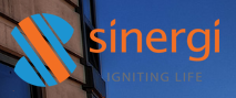 PT Sinergi